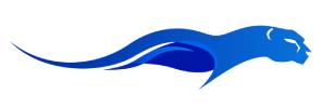 Proficient logo